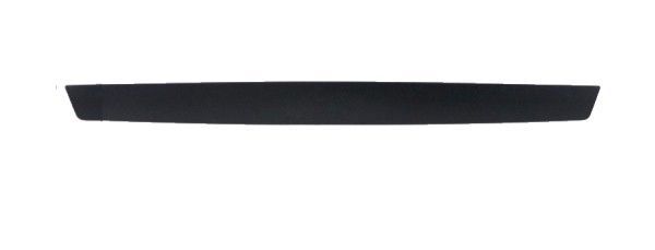 MOLDURA PORTON TRASERO 1006842