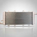 RADIADOR MOTOR LOMBARDINI DCI LDW442 CHATENET